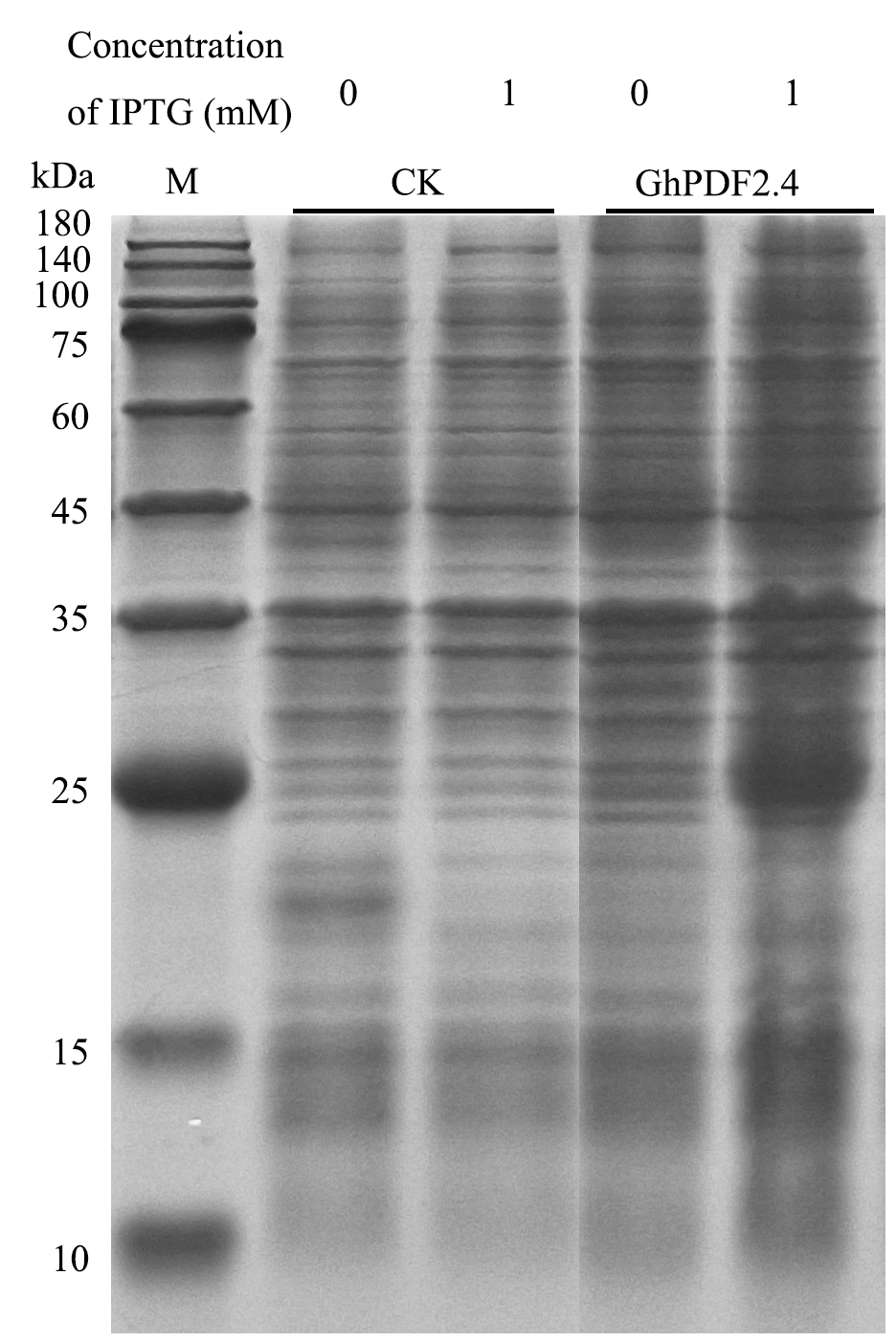 Characterization and functional analysis of gerbera plant defensin (PDF ...